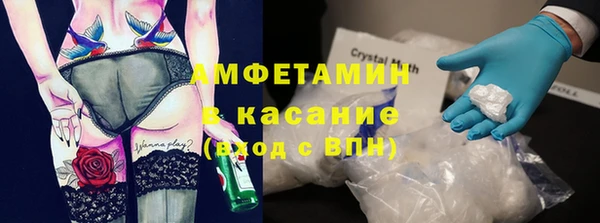 прущие грибы Абаза