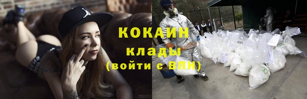 прущие грибы Абаза
