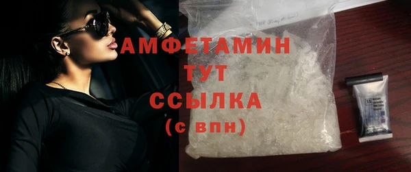 прущие грибы Абаза