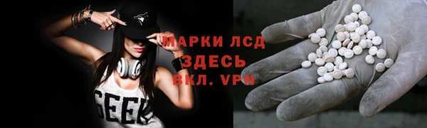 прущие грибы Абаза