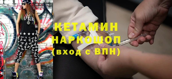 прущие грибы Абаза